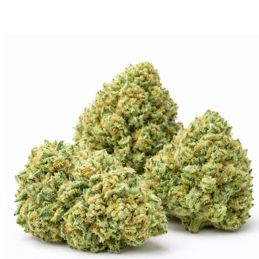 Amnesia HCT