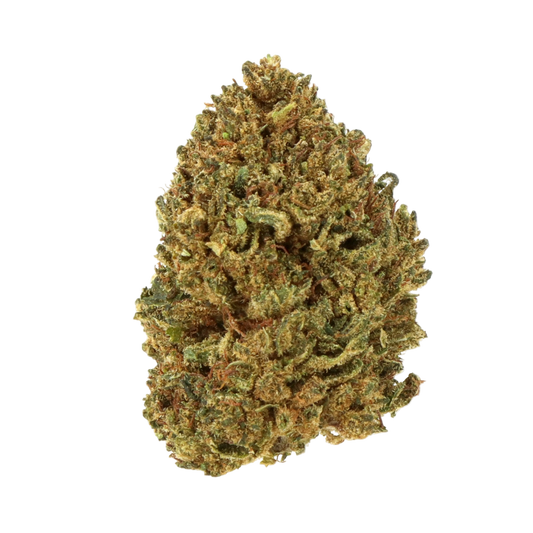 Royal OG ++