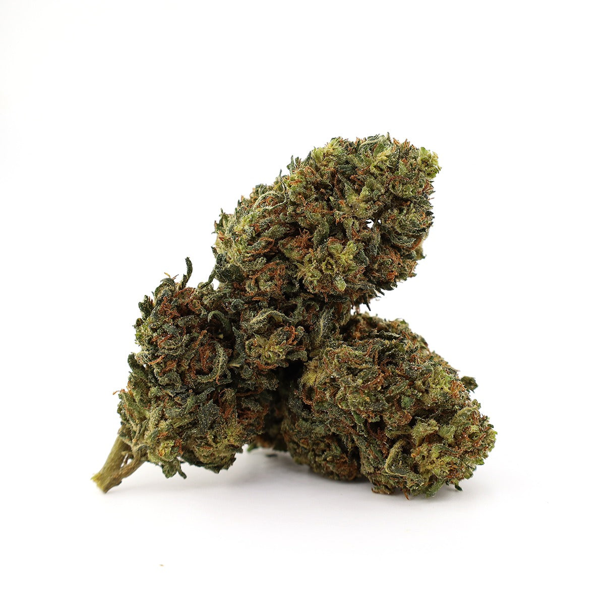 White Widow D10