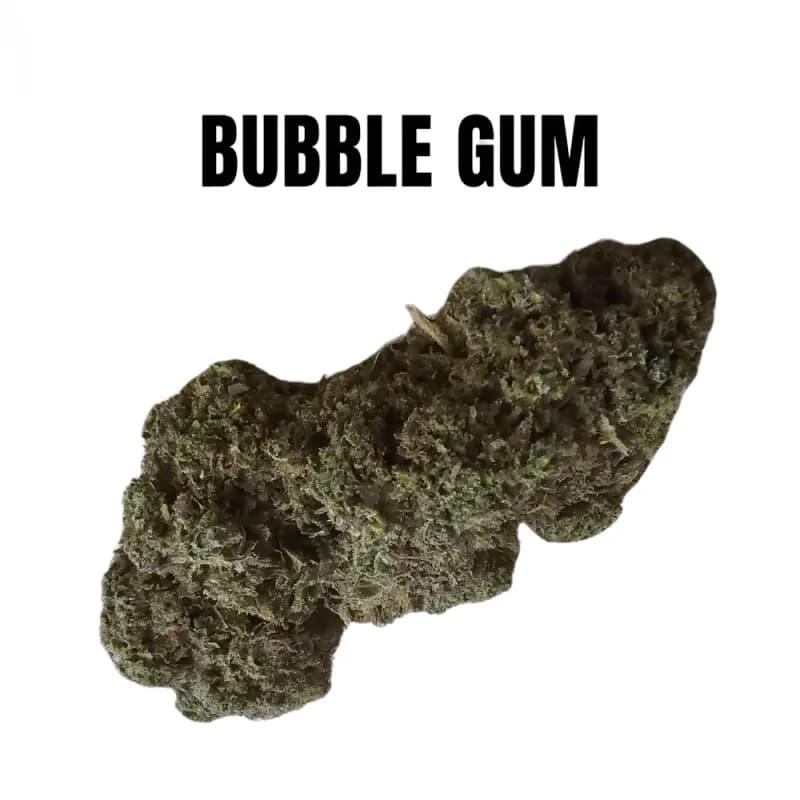 Bubble gum
