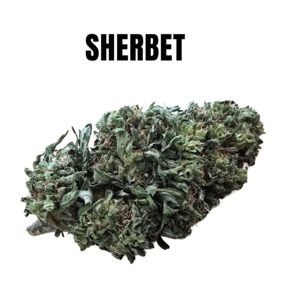 sherbet