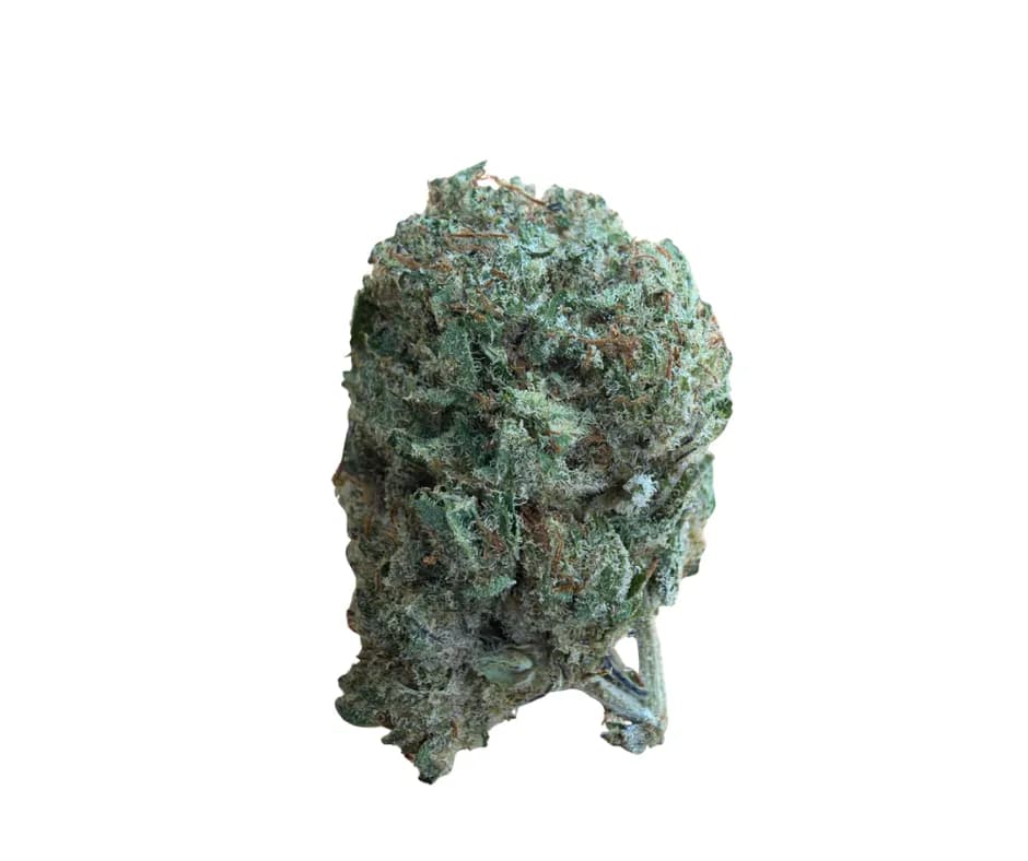 BUBBA KUSH ++