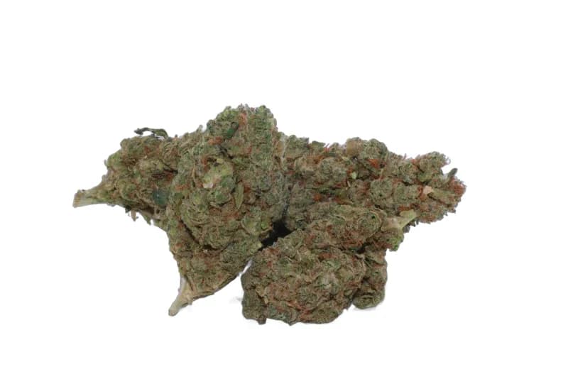 Plutonium