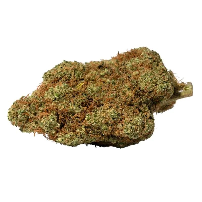 Mandarine Gorilla ++