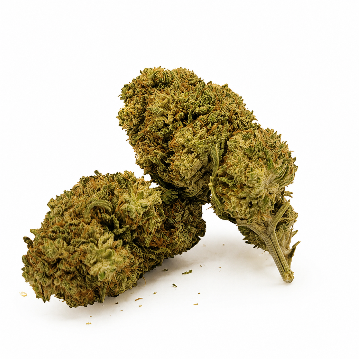 White widow XT
