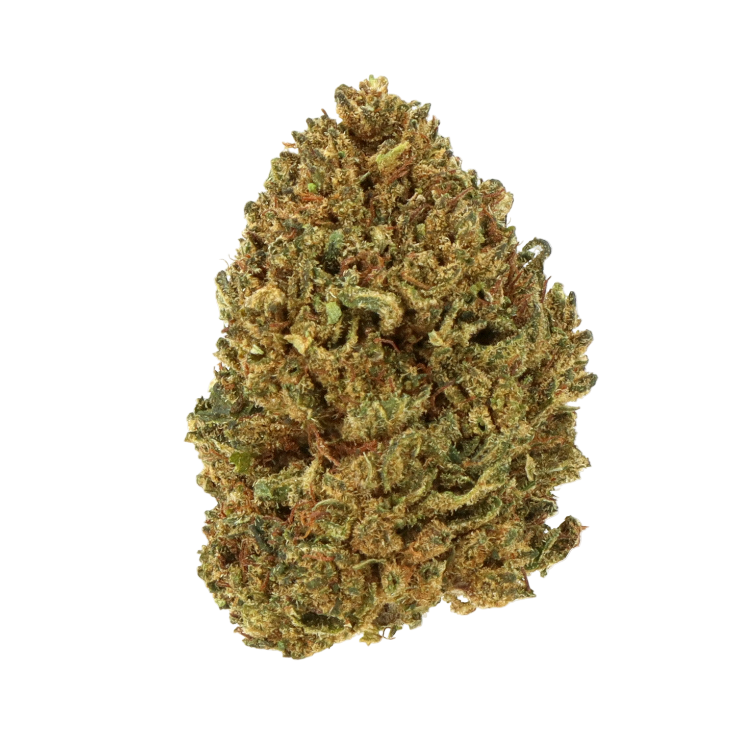 Royal OG ++