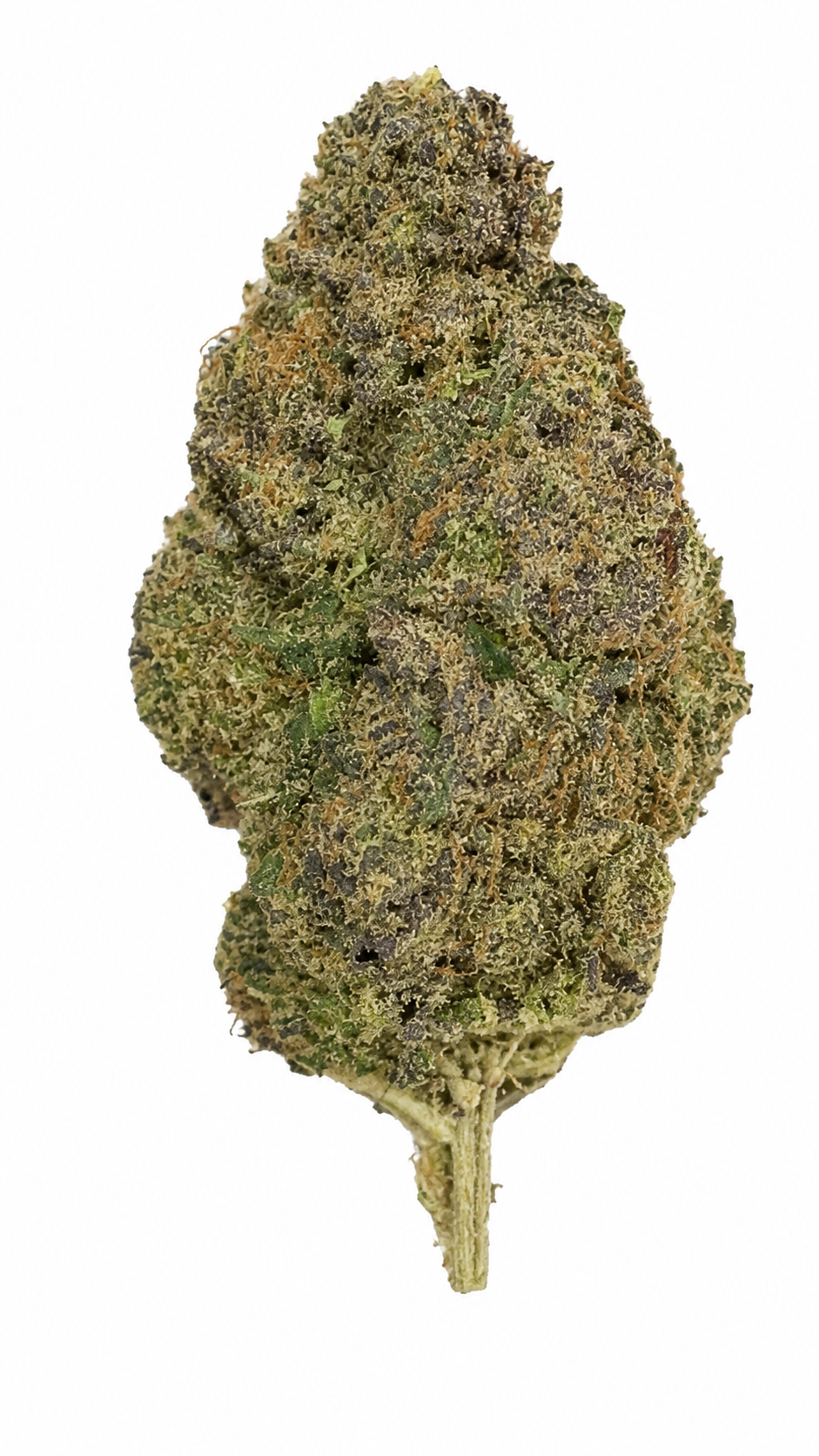 Plutonium